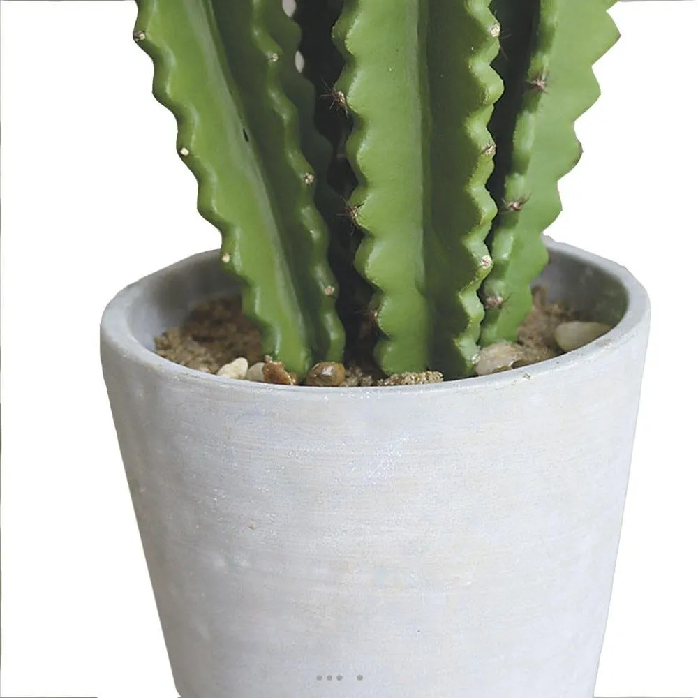 Euphorbe trigona succulent factice en pot béton mousse pu h100cm vert